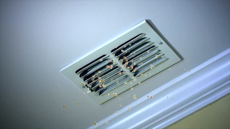 Best Home Air Vent Cleaning  in Dadeville, AL