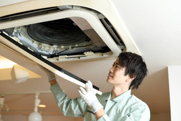 Best Air Duct Mold Removal  in Dadeville, AL