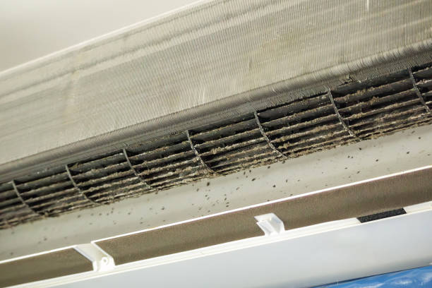 Best Affordable Air Duct Cleaning  in Dadeville, AL