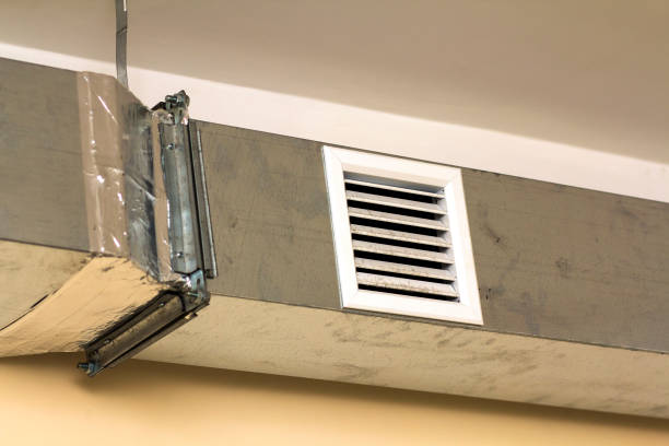 Best Affordable Duct Cleaning Services  in Dadeville, AL